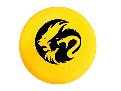 Yellow Frisbee Toy